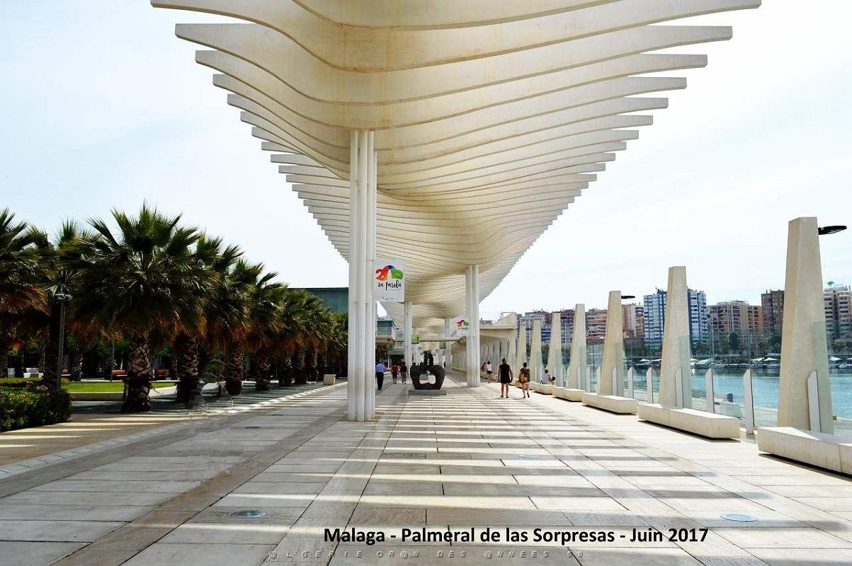 117- Malaga Palmeral Sorpresas.JPG